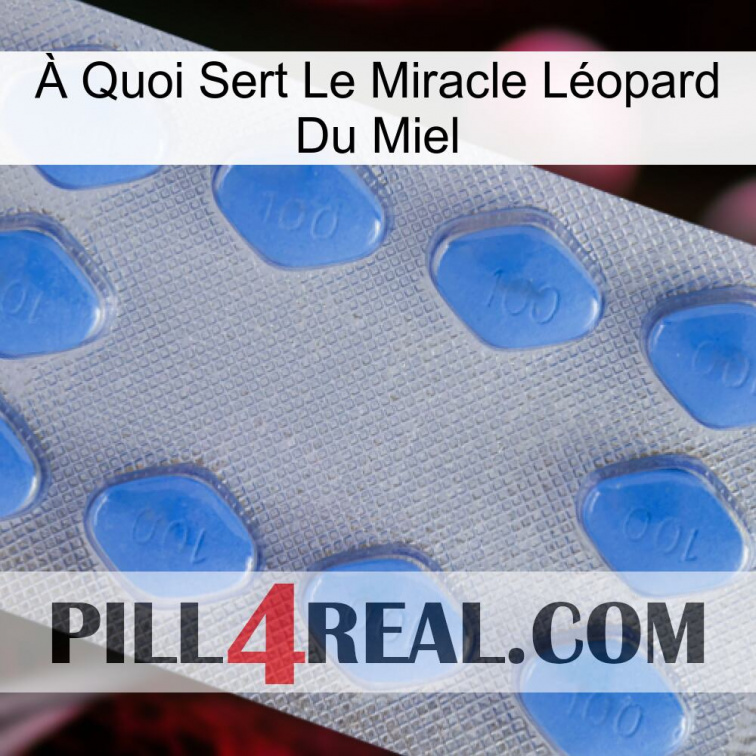 À Quoi Sert Le Miracle Léopard Du Miel 21